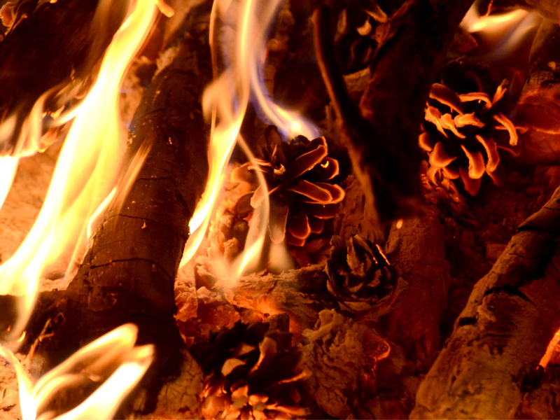 Waxed Pinecone Fire Starters